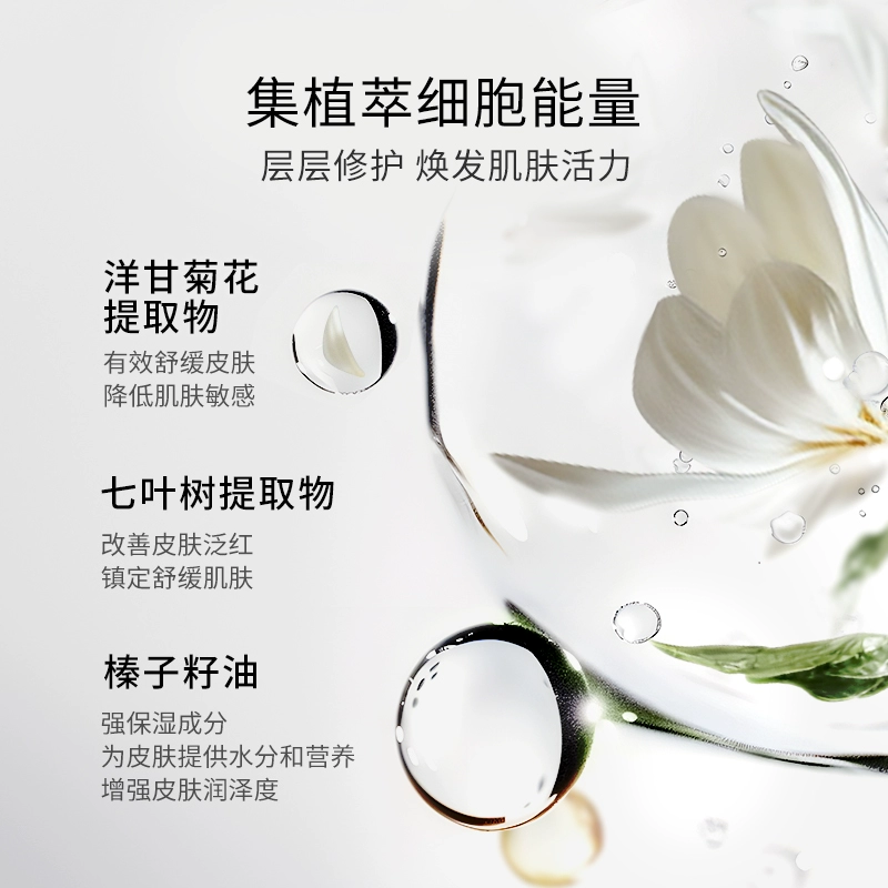 Maria Galland玛丽嘉兰5B号滋养焕活面霜-50ml