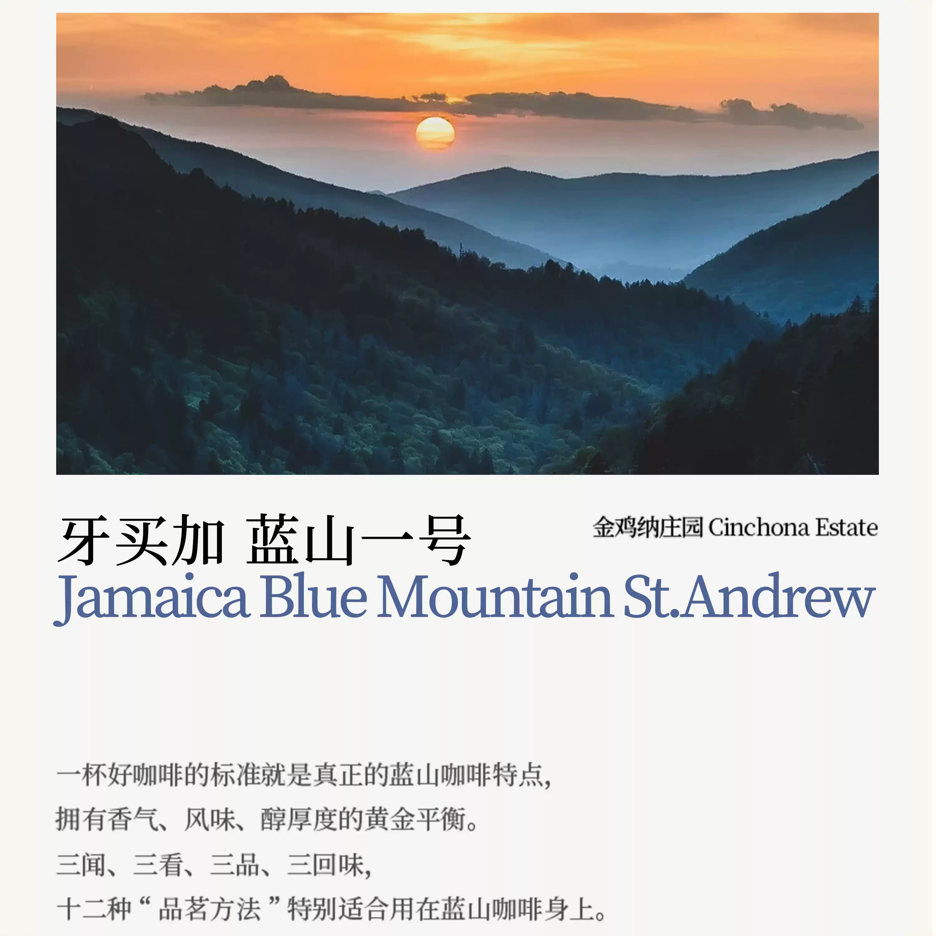 「稀珍圆豆」牙买加进口庄园甄选蓝山一号精品咖啡豆 中度烘焙/135g/臻选礼盒·双罐
